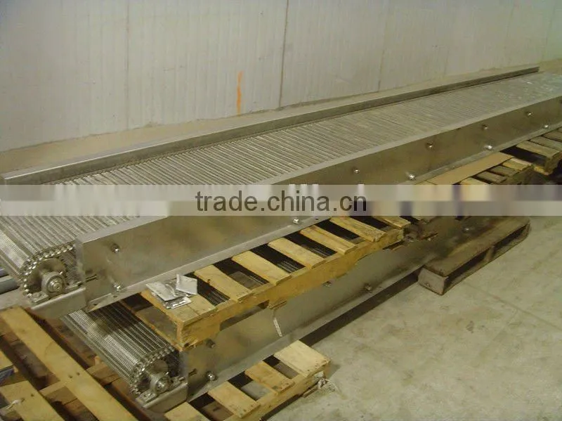 food grade conveyor