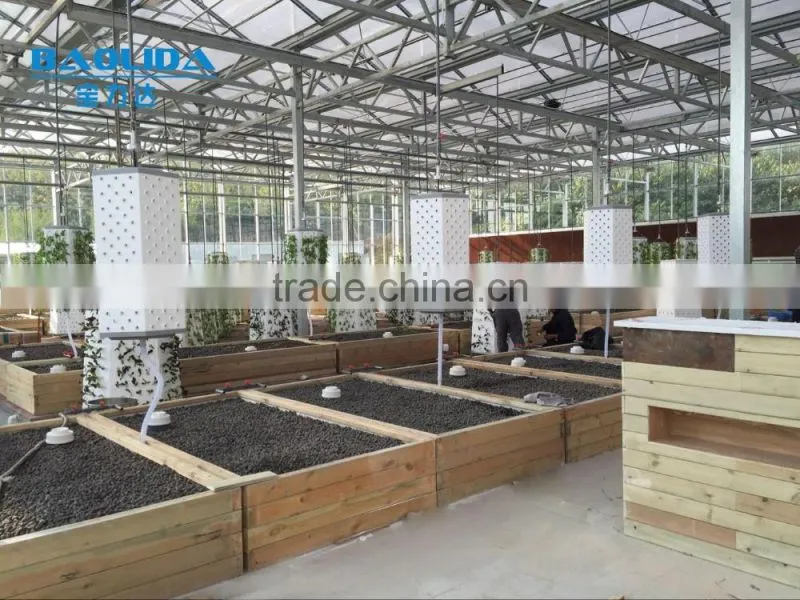 BaoLiDa high quality PC covered greenhouse hot-dip galvanized steel framework structure greenhouse