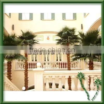 Best Looking Popular Artificial Palm Trees Decorative Artificial Plants