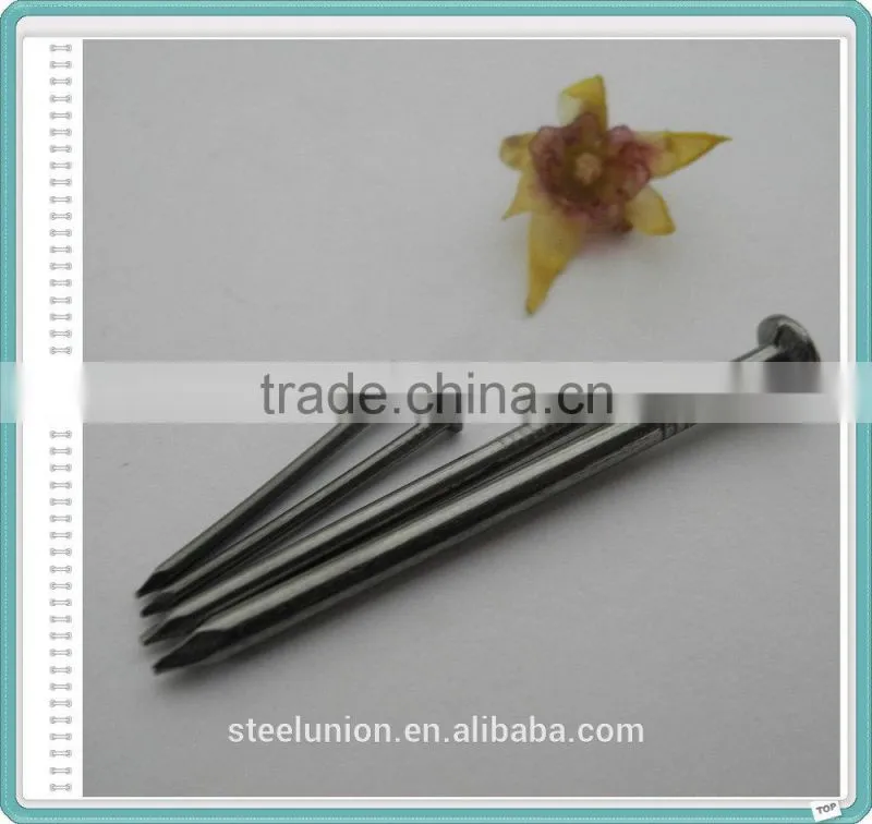 Electro Galvanized Common Wire Nail/Common Iron Wire Nails/Bright Common Nails Factory