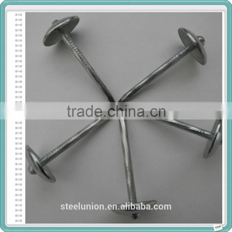 Umbrella Head Galvanized Roofing Nails with Rubber Washer
