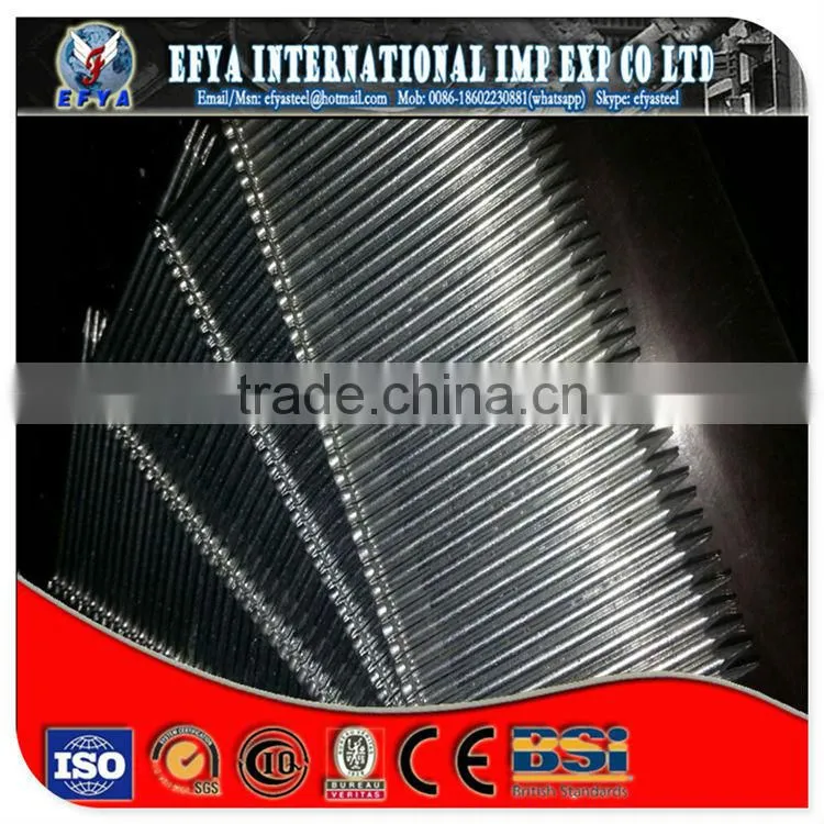 round head stainless steel nail