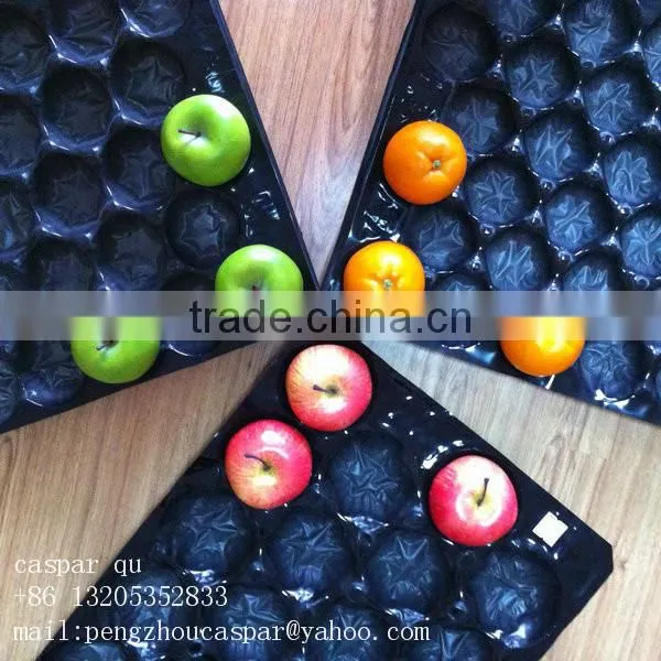 Chinese gold manufacturers plastic Fruit Tray with cells
