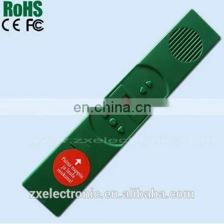 Custom Talking book/talking pen book for kids