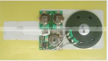 Voice module for gift box