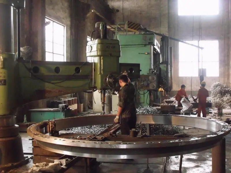 Henan Shuangfu Industry Co.,ltd company overview - view 1