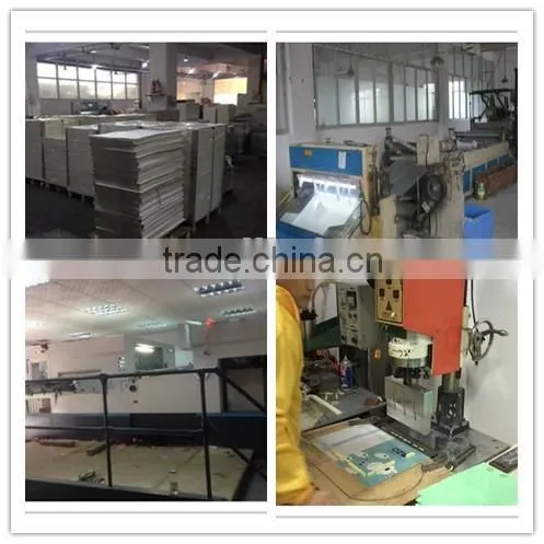 New design top quality recycled PP Display Book