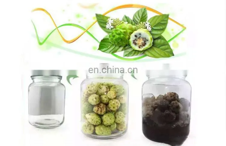 industrial Fresh noni juice making machine