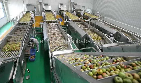 Good Price Automatic Commercial apple Juice Production Line Auto Complete Industrial apple Juice Processing Plant for Sale