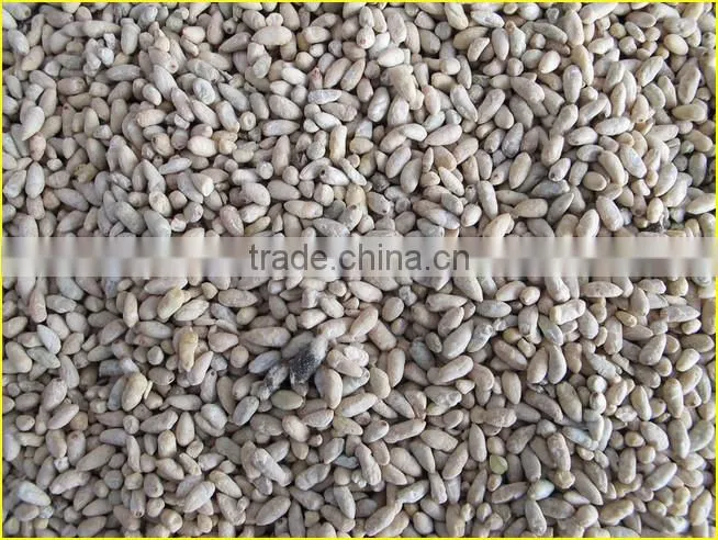 Industrial Cotton Seed Separating Machine|Cotton Seed Delinting Machine|Cotton Processing Machine Price
