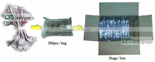 12V High brightness and New 3528 SMD LED Pixel Light