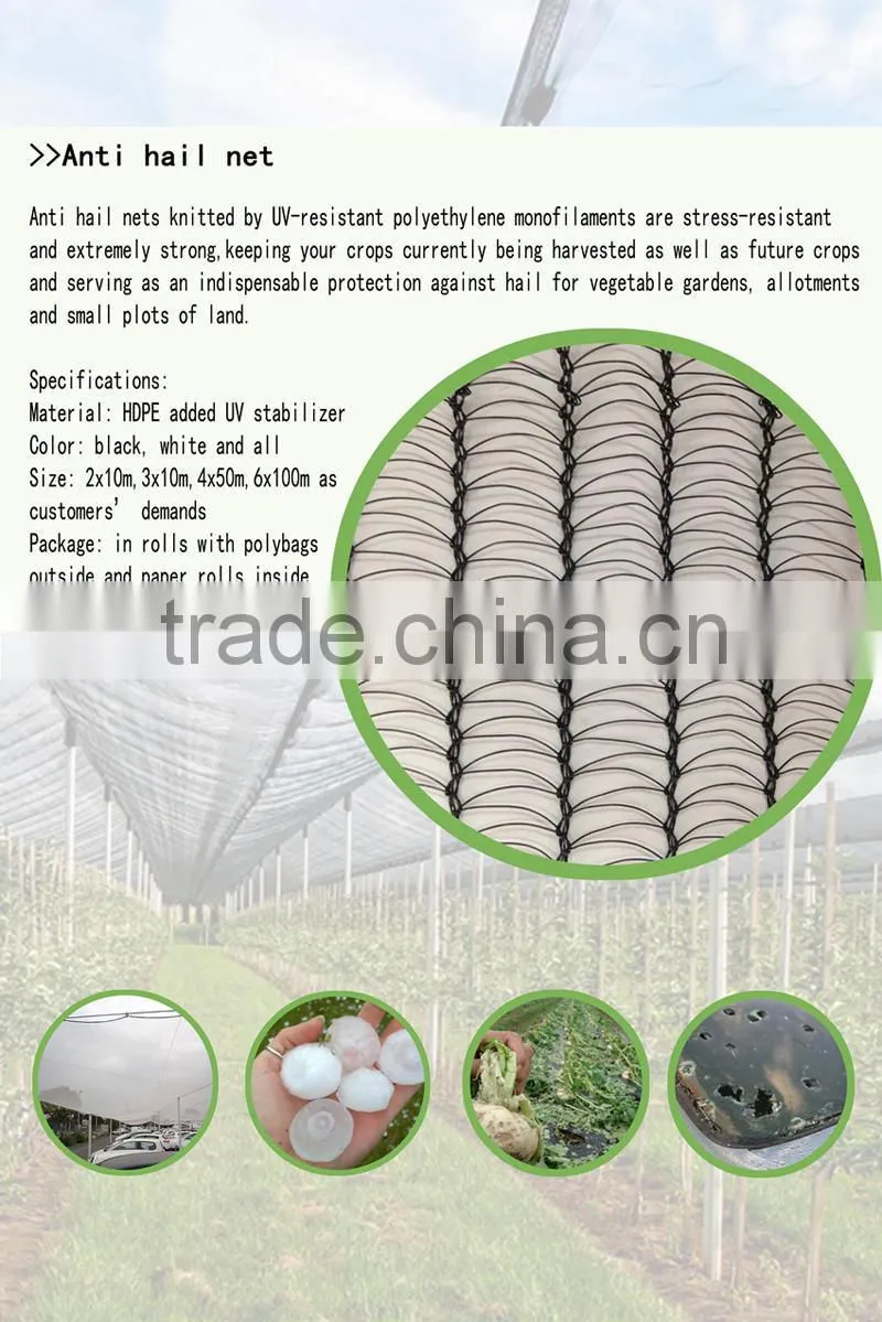 insect net / netting / insect proof net