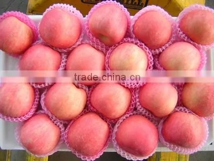 good quality red Fuji apple