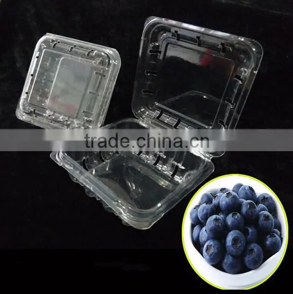 Blueberry Plastic fruit container