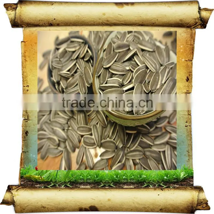 Sunflower Seeds for Oil 5009 3939 health product china