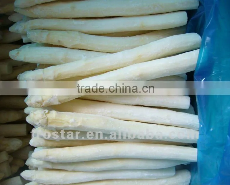 Top sale frozen white asparagus cut