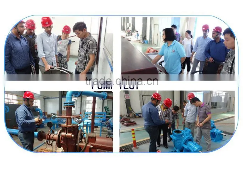 Petro oil chemical double suction pump API610 BB1 pump