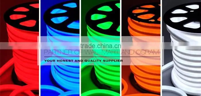 120V Wedding Party Decoration Blue and Pink Chasing LED Neon Light
