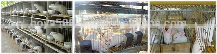 galvanized iron wire metal commercial rabbit cage