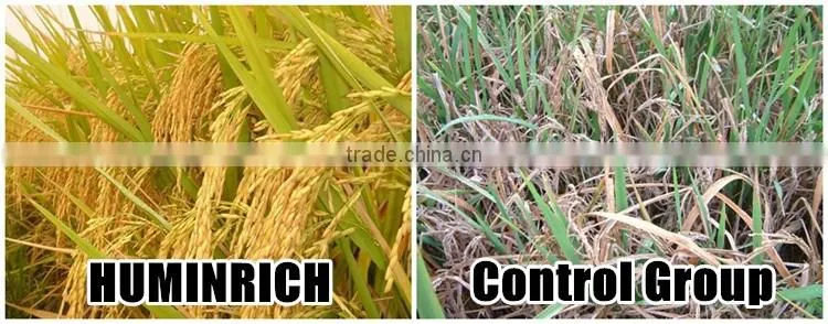 Huminrich High Active Grow Nutrients For Plants Bulk Liquid Fertilizers