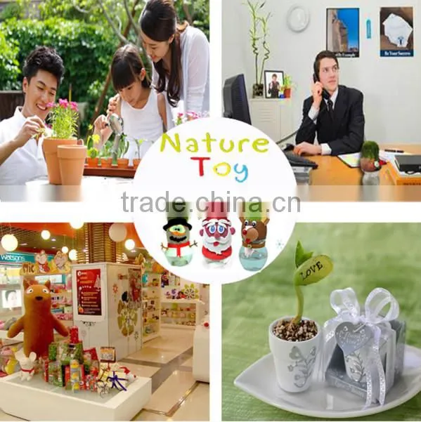 Interior Decoration metal plant pots plants for terracotta flower
