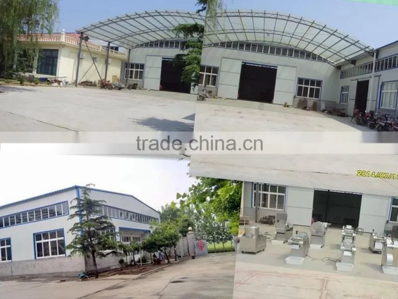 Hot Sale Commercial Automatic Vegetable Cutting Machine/Vegetable Cutter/fruit vegetable cutting machie CHINA FD