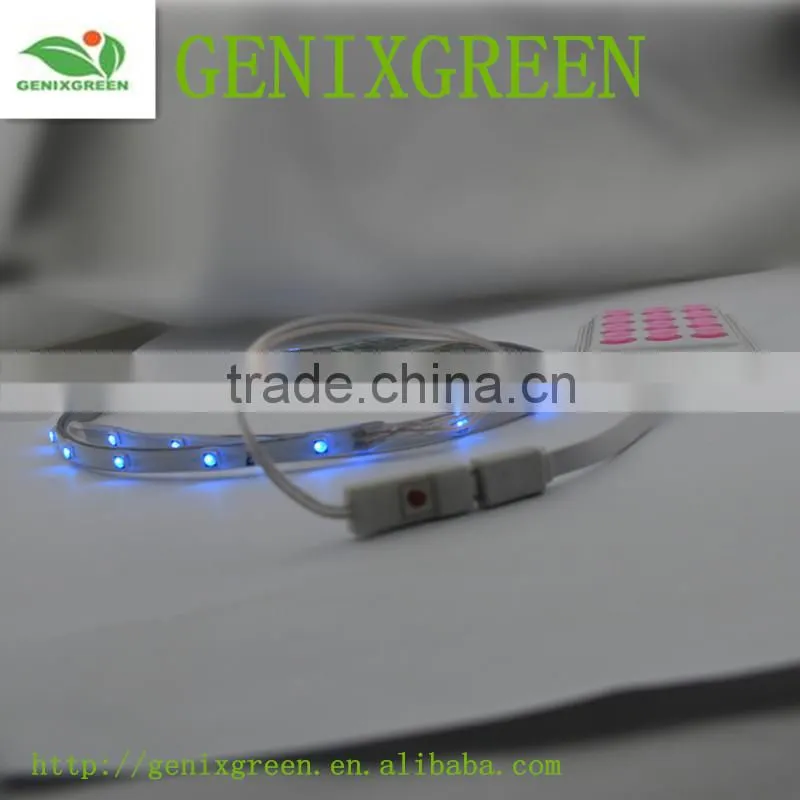 fashion led light shoes 2016 hot new product simulation led light for shoes