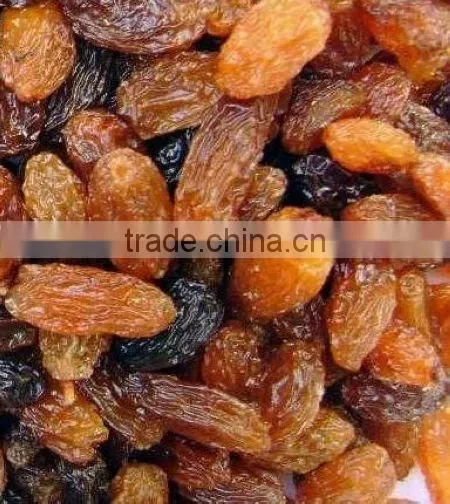 Dried Raisins from Xinjiang