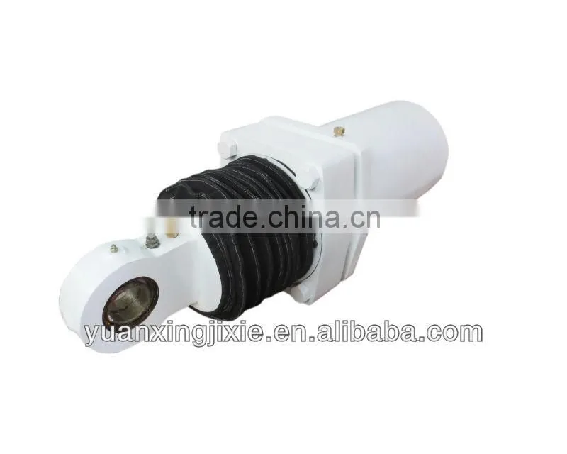 Terex Spare Parts Cylinder 9079589 3307 & TR50