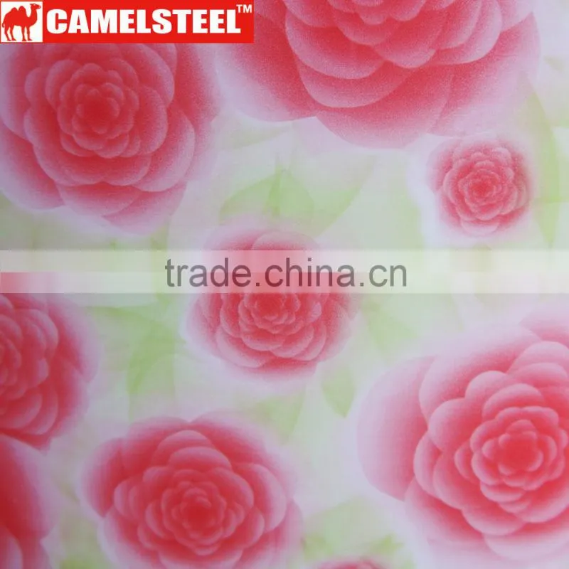 High Quality Customized Design Camelsteel Decorative Steel Coil