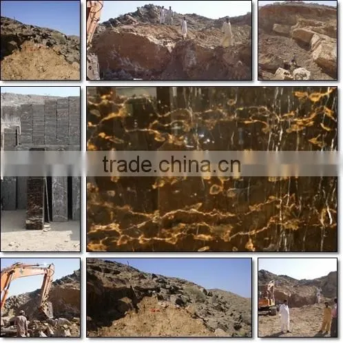 Pakistani Portoro Slabs