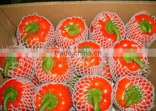 orange red capsicum yellow capsicum