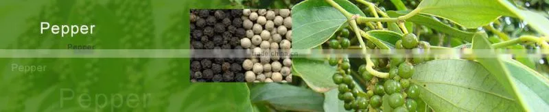 Vietnam Pepper - Black pepper - White pepper - Skype : Visimex03