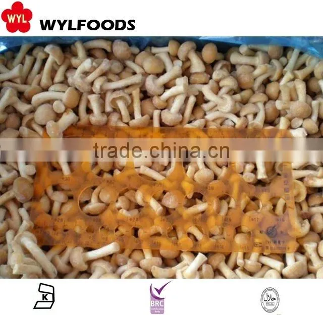 frozen nameko mushroom price in china