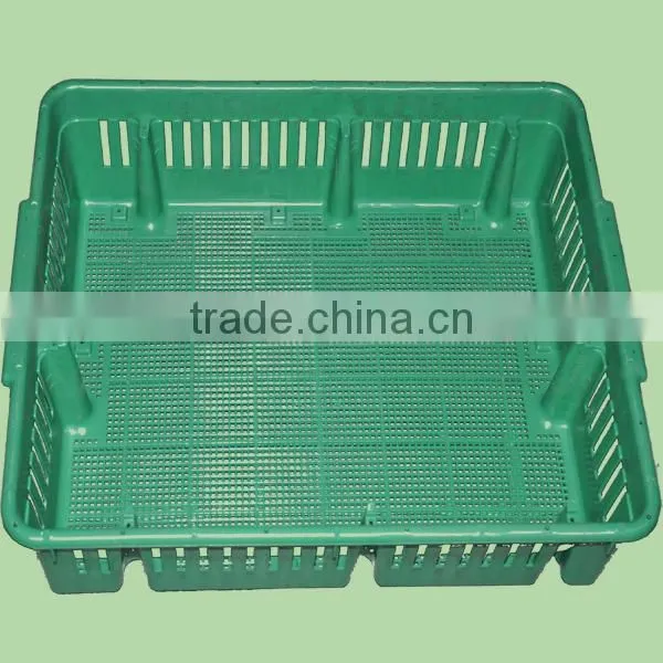 plastic turnover box for chickens