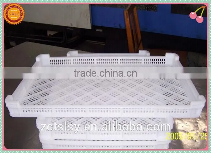 2017 PE type frozen food plastic tray