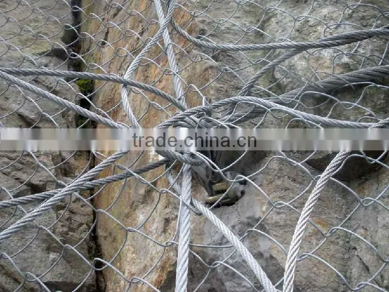 SNS protective slope mesh