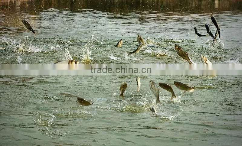 Long time floating fish food machine