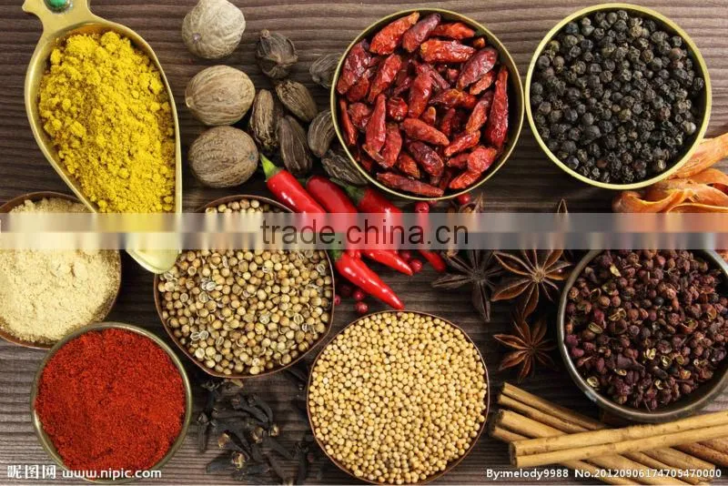 commercial use cumin/hot pepper/herb spice powder mill