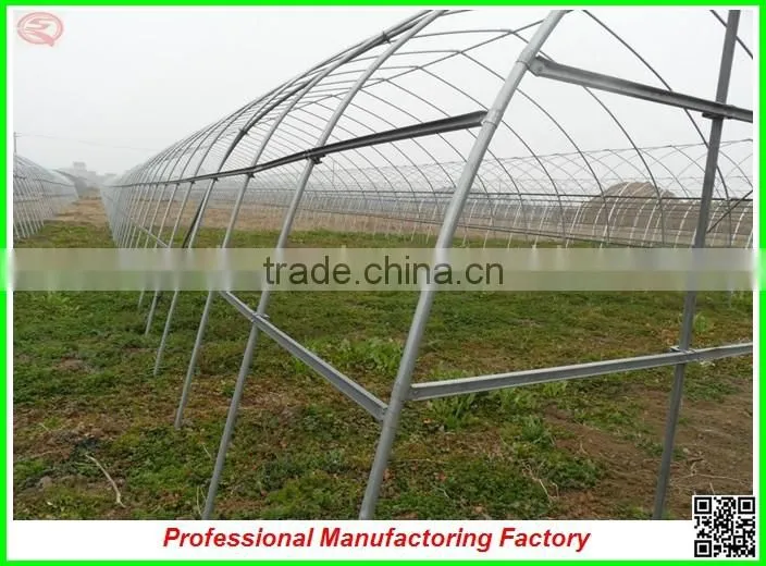 Large and practical PC sheet multi-span greenhouse with professional manufacturer