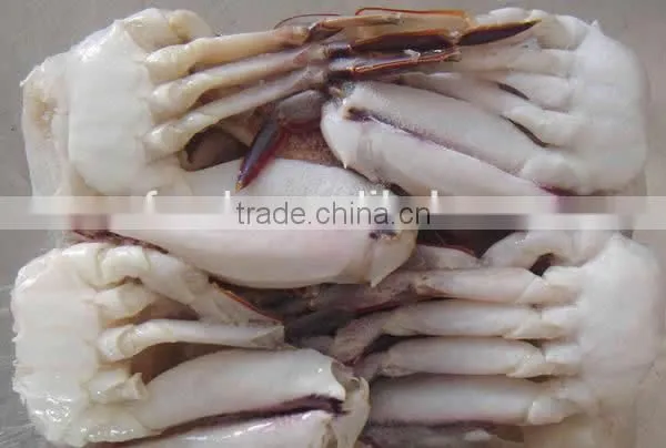 Frozen blue swimming crab whole round