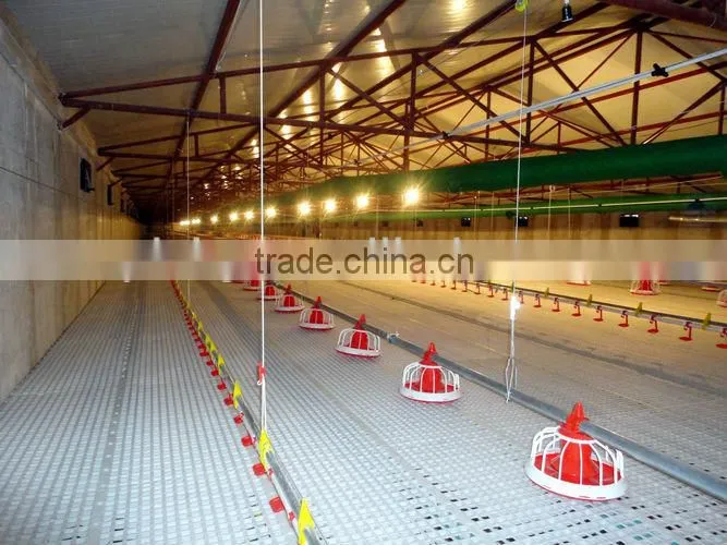 Broiler and Breeder Feeding System
