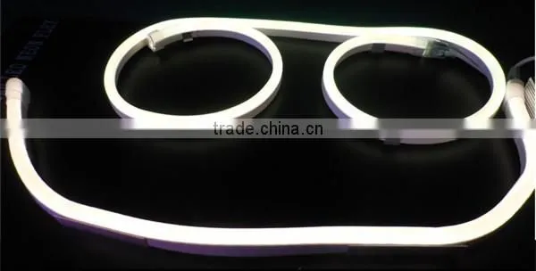 High Brightness white and warm white best pirce led neon flex