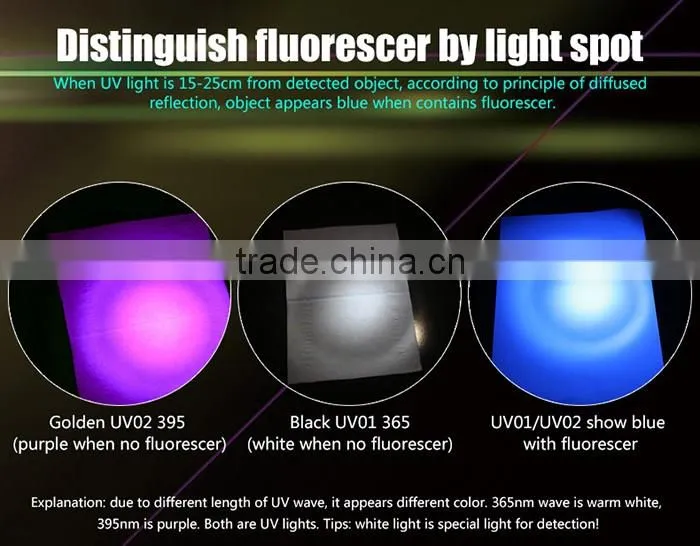 Women' gift fluorescence detection flashlight UV01