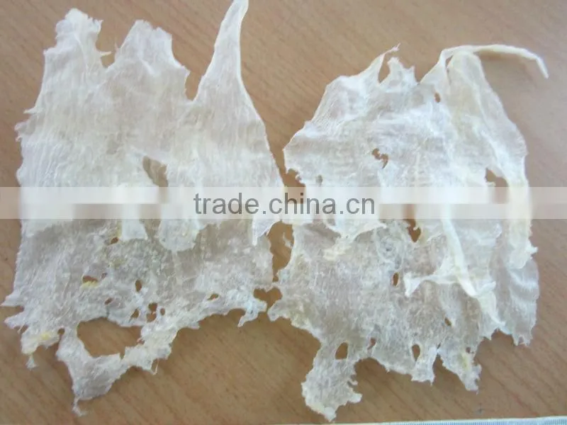 Fish maw/dried seafood