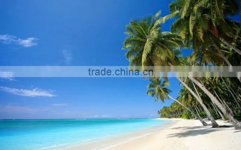2016 RO-2000 RO-3000 RO-4000 Salt Water to fresh Treatment Equipment for hotel in island