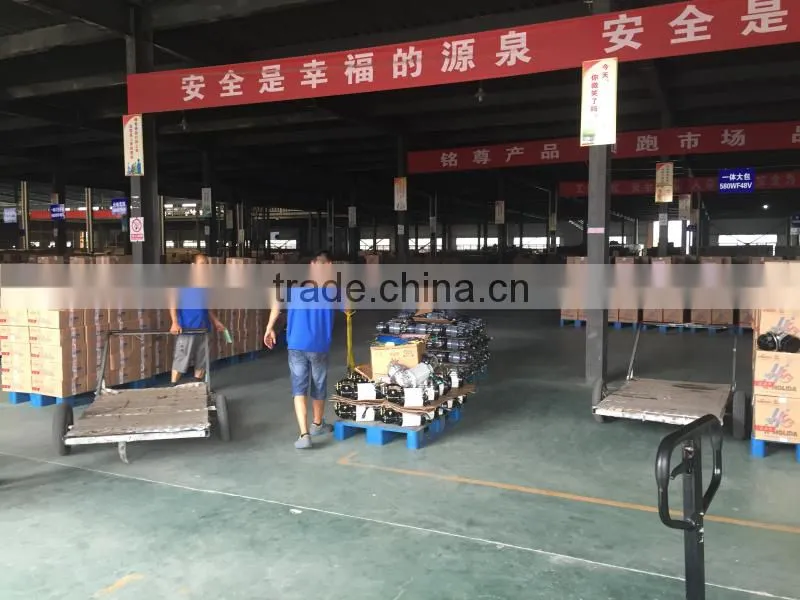 48V 850W 1000W BLDC MOTOR FOR RICKSHAW , TU TU TAXI , TUK TUK