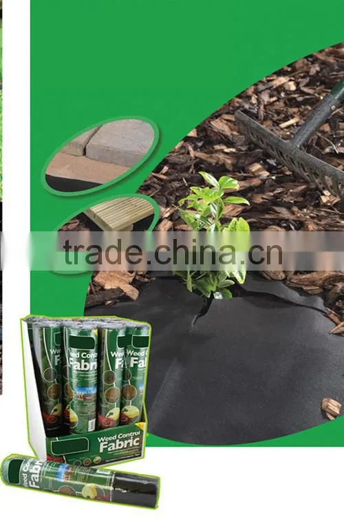 For protecting the plants China supplier Biodegradable Agriculture PP Protective Cover Film for protecting the plants