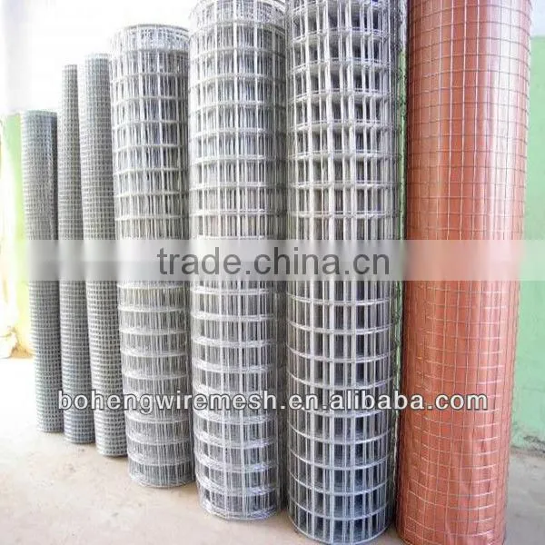 Plain Weave Stainless Steel Welded Wire Mesh