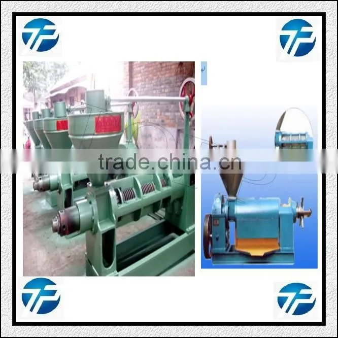 Palm Olive Oil Cold Press Machine